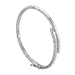 SERPENT COIL